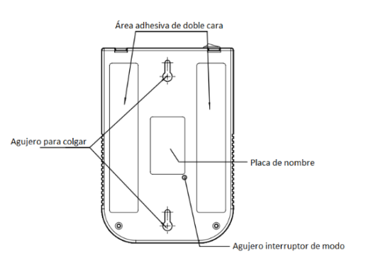 vista posterior